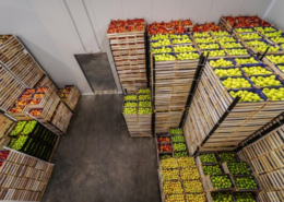 Odoo ERP Wholesale & Distribution